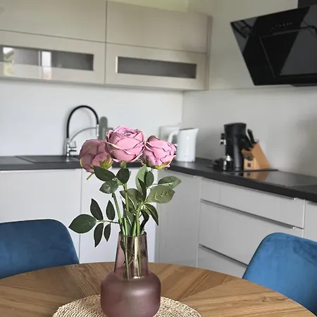 Apartment Tomy Rijeka