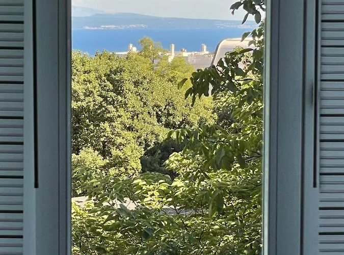 Tomy